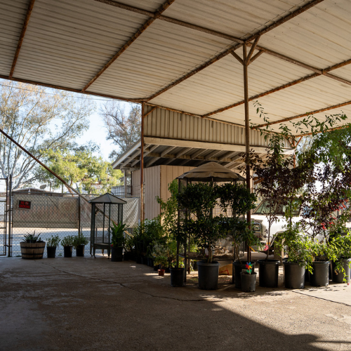 Inside M5 Winchester Feed