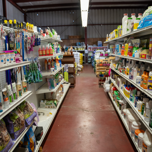 Inside M5 Winchester Feed