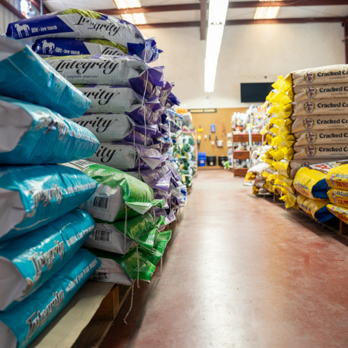 Inside M5 Winchester Feed