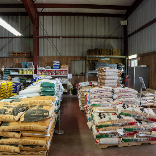 Inside M5 Winchester Feed