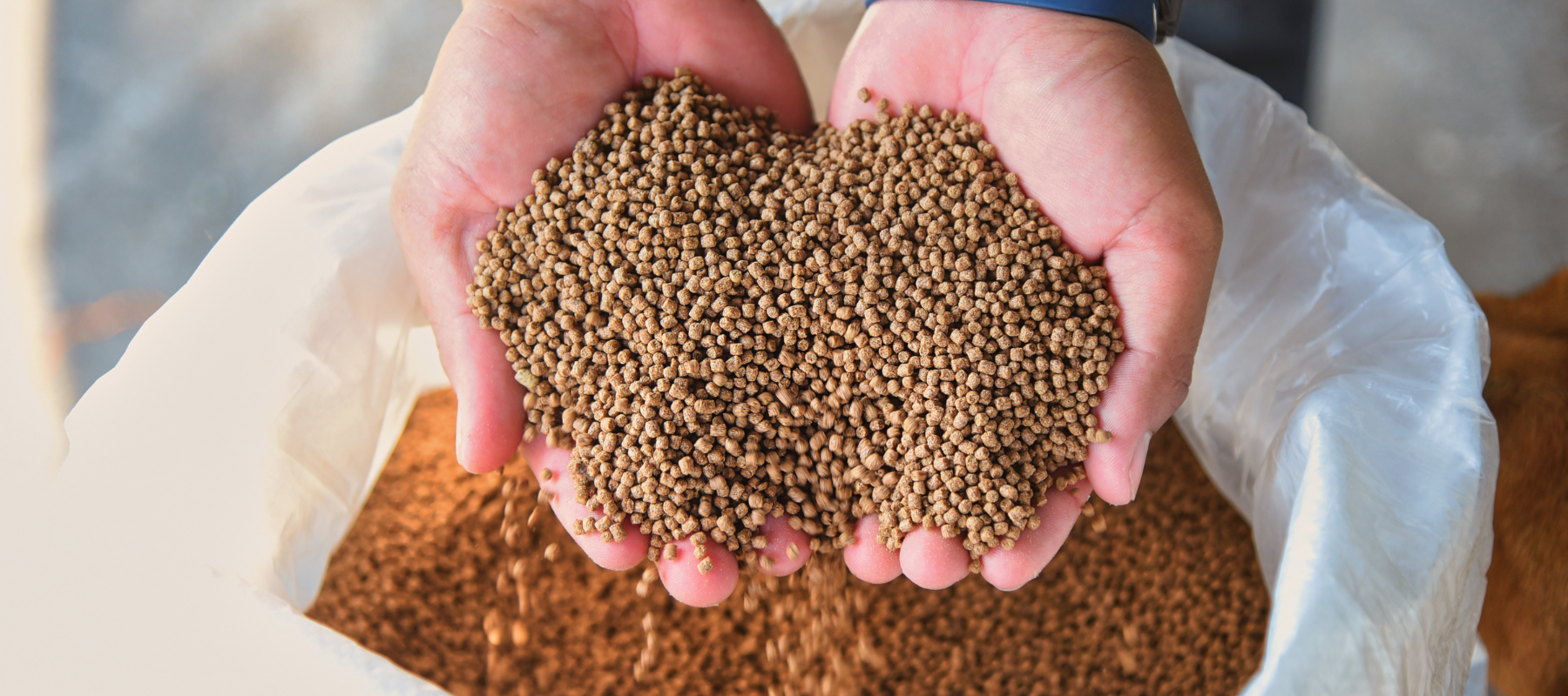 Two hands holding feed pellets over a bag of feed