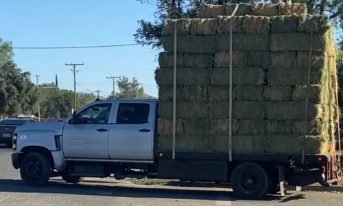 Bulk hay delivery truck